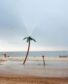 looking for wonderland