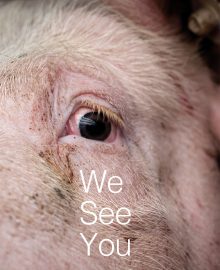 We See You_DIN A5_Doppelseite Feb_2026.indd